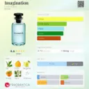 Imagination-Louis-Vuitton-for-men-perfume-card.webp